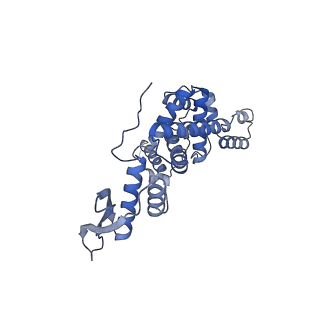 12569_7nsj_Bh_v1-1
55S mammalian mitochondrial ribosome with tRNA(P/P) and tRNA(E*)