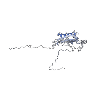 12569_7nsj_Bi_v1-1
55S mammalian mitochondrial ribosome with tRNA(P/P) and tRNA(E*)