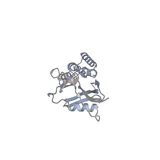 12569_7nsj_Bj_v1-1
55S mammalian mitochondrial ribosome with tRNA(P/P) and tRNA(E*)