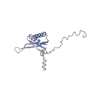 12569_7nsj_Bk_v1-1
55S mammalian mitochondrial ribosome with tRNA(P/P) and tRNA(E*)