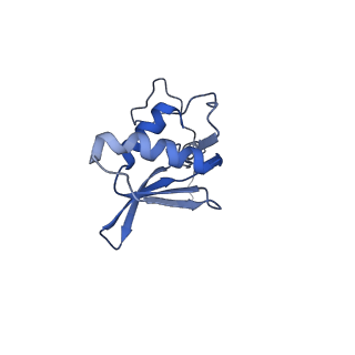 12569_7nsj_Bl_v1-1
55S mammalian mitochondrial ribosome with tRNA(P/P) and tRNA(E*)