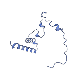 12569_7nsj_Bn_v1-1
55S mammalian mitochondrial ribosome with tRNA(P/P) and tRNA(E*)