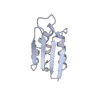 12569_7nsj_Bp_v1-1
55S mammalian mitochondrial ribosome with tRNA(P/P) and tRNA(E*)