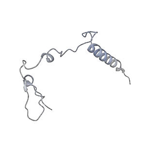 12569_7nsj_Bq_v1-1
55S mammalian mitochondrial ribosome with tRNA(P/P) and tRNA(E*)