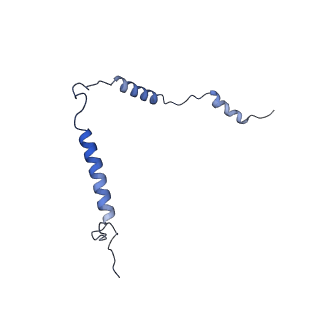 12569_7nsj_Bt_v1-1
55S mammalian mitochondrial ribosome with tRNA(P/P) and tRNA(E*)