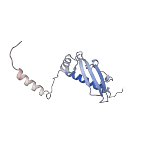 12569_7nsj_Bu_v1-1
55S mammalian mitochondrial ribosome with tRNA(P/P) and tRNA(E*)