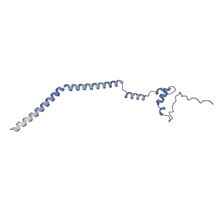 12569_7nsj_Bv_v1-1
55S mammalian mitochondrial ribosome with tRNA(P/P) and tRNA(E*)