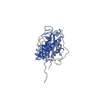 12569_7nsj_Bw_v1-1
55S mammalian mitochondrial ribosome with tRNA(P/P) and tRNA(E*)