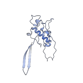 12569_7nsj_Bx_v1-1
55S mammalian mitochondrial ribosome with tRNA(P/P) and tRNA(E*)