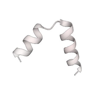 12569_7nsj_HL_v1-1
55S mammalian mitochondrial ribosome with tRNA(P/P) and tRNA(E*)
