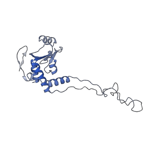 12573_7nso_E_v1-1
Structure of ErmDL-Erythromycin-stalled 70S E. coli ribosomal complex with P-tRNA