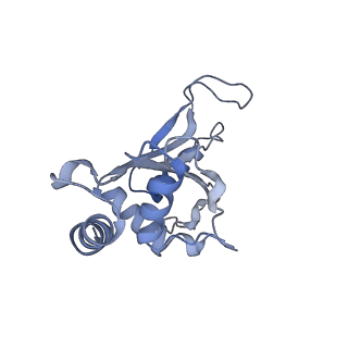 12573_7nso_F_v1-1
Structure of ErmDL-Erythromycin-stalled 70S E. coli ribosomal complex with P-tRNA