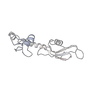 12573_7nso_H_v1-1
Structure of ErmDL-Erythromycin-stalled 70S E. coli ribosomal complex with P-tRNA