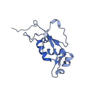 12573_7nso_J_v1-1
Structure of ErmDL-Erythromycin-stalled 70S E. coli ribosomal complex with P-tRNA