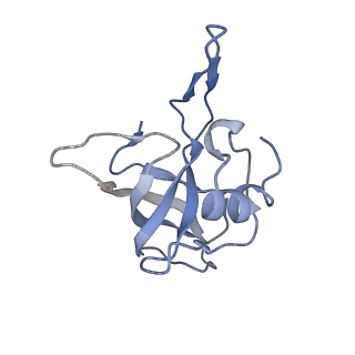 12573_7nso_K_v1-1
Structure of ErmDL-Erythromycin-stalled 70S E. coli ribosomal complex with P-tRNA