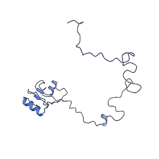 12573_7nso_L_v1-1
Structure of ErmDL-Erythromycin-stalled 70S E. coli ribosomal complex with P-tRNA