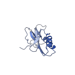 12573_7nso_M_v1-1
Structure of ErmDL-Erythromycin-stalled 70S E. coli ribosomal complex with P-tRNA