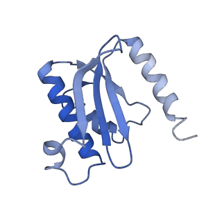 12573_7nso_O_v1-1
Structure of ErmDL-Erythromycin-stalled 70S E. coli ribosomal complex with P-tRNA