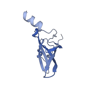 12573_7nso_P_v1-1
Structure of ErmDL-Erythromycin-stalled 70S E. coli ribosomal complex with P-tRNA
