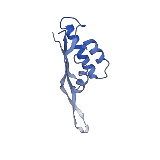 12573_7nso_S_v1-1
Structure of ErmDL-Erythromycin-stalled 70S E. coli ribosomal complex with P-tRNA