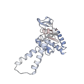 12573_7nso_b_v1-1
Structure of ErmDL-Erythromycin-stalled 70S E. coli ribosomal complex with P-tRNA