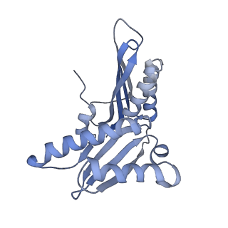 12573_7nso_c_v1-1
Structure of ErmDL-Erythromycin-stalled 70S E. coli ribosomal complex with P-tRNA
