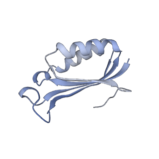 12573_7nso_f_v1-1
Structure of ErmDL-Erythromycin-stalled 70S E. coli ribosomal complex with P-tRNA