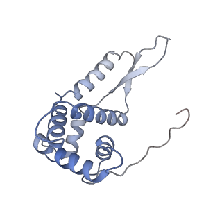 12573_7nso_g_v1-1
Structure of ErmDL-Erythromycin-stalled 70S E. coli ribosomal complex with P-tRNA