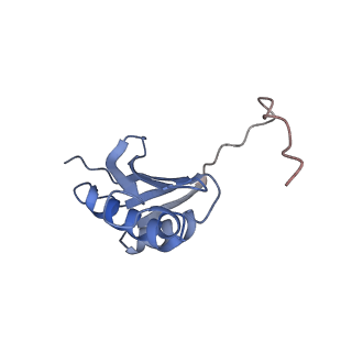 12573_7nso_k_v1-1
Structure of ErmDL-Erythromycin-stalled 70S E. coli ribosomal complex with P-tRNA