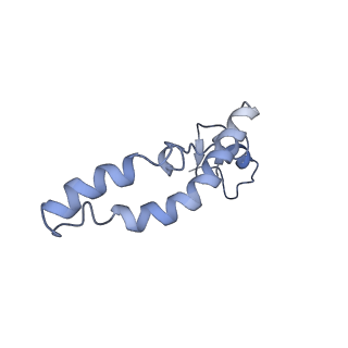 12573_7nso_n_v1-1
Structure of ErmDL-Erythromycin-stalled 70S E. coli ribosomal complex with P-tRNA