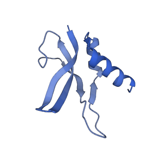 12573_7nso_p_v1-1
Structure of ErmDL-Erythromycin-stalled 70S E. coli ribosomal complex with P-tRNA