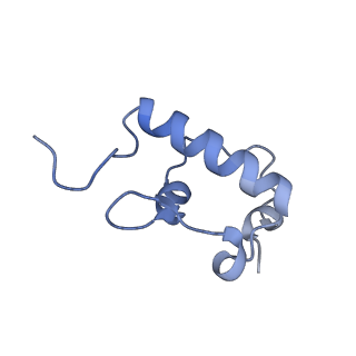 12573_7nso_r_v1-1
Structure of ErmDL-Erythromycin-stalled 70S E. coli ribosomal complex with P-tRNA