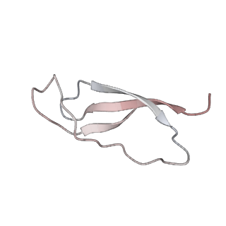 12574_7nsp_1_v1-0
Structure of ErmDL-Erythromycin-stalled 70S E. coli ribosomal complex with A and P-tRNA