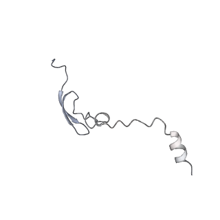 12574_7nsp_5_v1-0
Structure of ErmDL-Erythromycin-stalled 70S E. coli ribosomal complex with A and P-tRNA