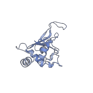 12574_7nsp_F_v1-0
Structure of ErmDL-Erythromycin-stalled 70S E. coli ribosomal complex with A and P-tRNA