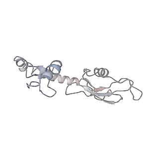 12574_7nsp_H_v1-0
Structure of ErmDL-Erythromycin-stalled 70S E. coli ribosomal complex with A and P-tRNA