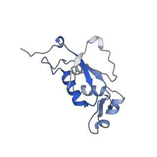 12574_7nsp_J_v1-0
Structure of ErmDL-Erythromycin-stalled 70S E. coli ribosomal complex with A and P-tRNA