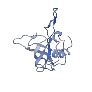 12574_7nsp_K_v1-0
Structure of ErmDL-Erythromycin-stalled 70S E. coli ribosomal complex with A and P-tRNA