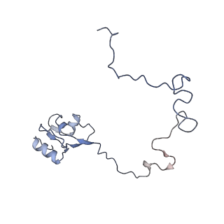 12574_7nsp_L_v1-0
Structure of ErmDL-Erythromycin-stalled 70S E. coli ribosomal complex with A and P-tRNA