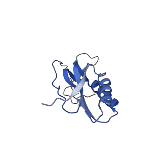 12574_7nsp_M_v1-0
Structure of ErmDL-Erythromycin-stalled 70S E. coli ribosomal complex with A and P-tRNA