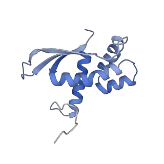 12574_7nsp_N_v1-0
Structure of ErmDL-Erythromycin-stalled 70S E. coli ribosomal complex with A and P-tRNA