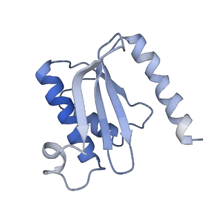12574_7nsp_O_v1-0
Structure of ErmDL-Erythromycin-stalled 70S E. coli ribosomal complex with A and P-tRNA