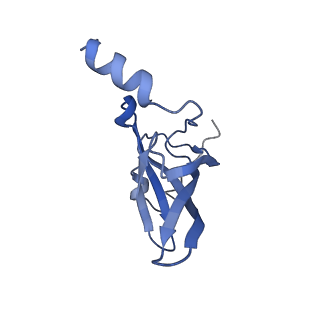 12574_7nsp_P_v1-0
Structure of ErmDL-Erythromycin-stalled 70S E. coli ribosomal complex with A and P-tRNA