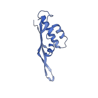 12574_7nsp_S_v1-0
Structure of ErmDL-Erythromycin-stalled 70S E. coli ribosomal complex with A and P-tRNA
