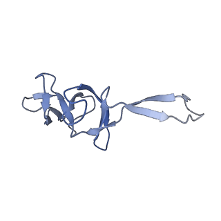 12574_7nsp_U_v1-0
Structure of ErmDL-Erythromycin-stalled 70S E. coli ribosomal complex with A and P-tRNA