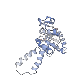 12574_7nsp_b_v1-0
Structure of ErmDL-Erythromycin-stalled 70S E. coli ribosomal complex with A and P-tRNA