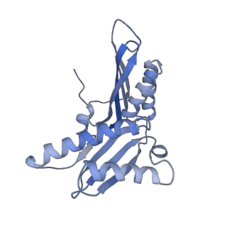 12574_7nsp_c_v1-0
Structure of ErmDL-Erythromycin-stalled 70S E. coli ribosomal complex with A and P-tRNA