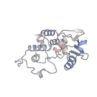 12574_7nsp_d_v1-0
Structure of ErmDL-Erythromycin-stalled 70S E. coli ribosomal complex with A and P-tRNA
