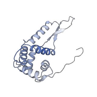 12574_7nsp_g_v1-0
Structure of ErmDL-Erythromycin-stalled 70S E. coli ribosomal complex with A and P-tRNA