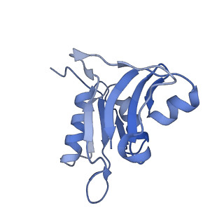 12574_7nsp_h_v1-0
Structure of ErmDL-Erythromycin-stalled 70S E. coli ribosomal complex with A and P-tRNA